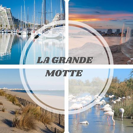 Le Dream Beach-Terrasse-Vue Mer D'Exception-Wifi-Parking - Top Pros Servicesconciergerie Palavas-les-Flots Bagian luar foto